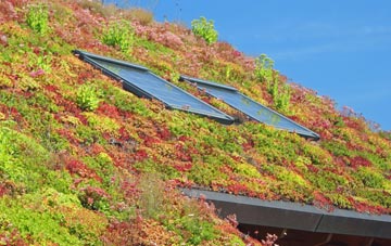 Britannia living roof systems