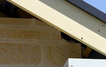 soffit repair Britannia