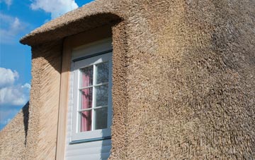 Britannia thatch roof disadvantages