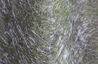 Britannia fibreglass roof work